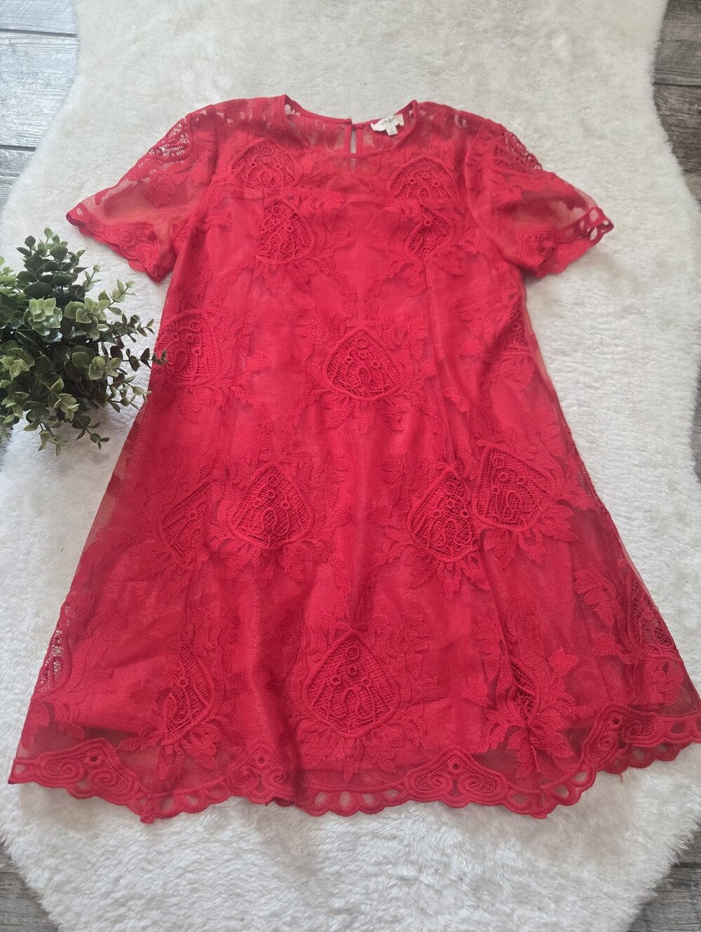 UMGEE Red Lace Short Sleeve Scalloped Hem Boho Babydoll Shift Mini-Dress, M - Picture 1 of 7